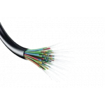 Fiber Optic